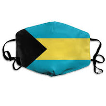 Load image into Gallery viewer, Face Masks