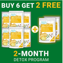 Load image into Gallery viewer, Detox Foot Pads